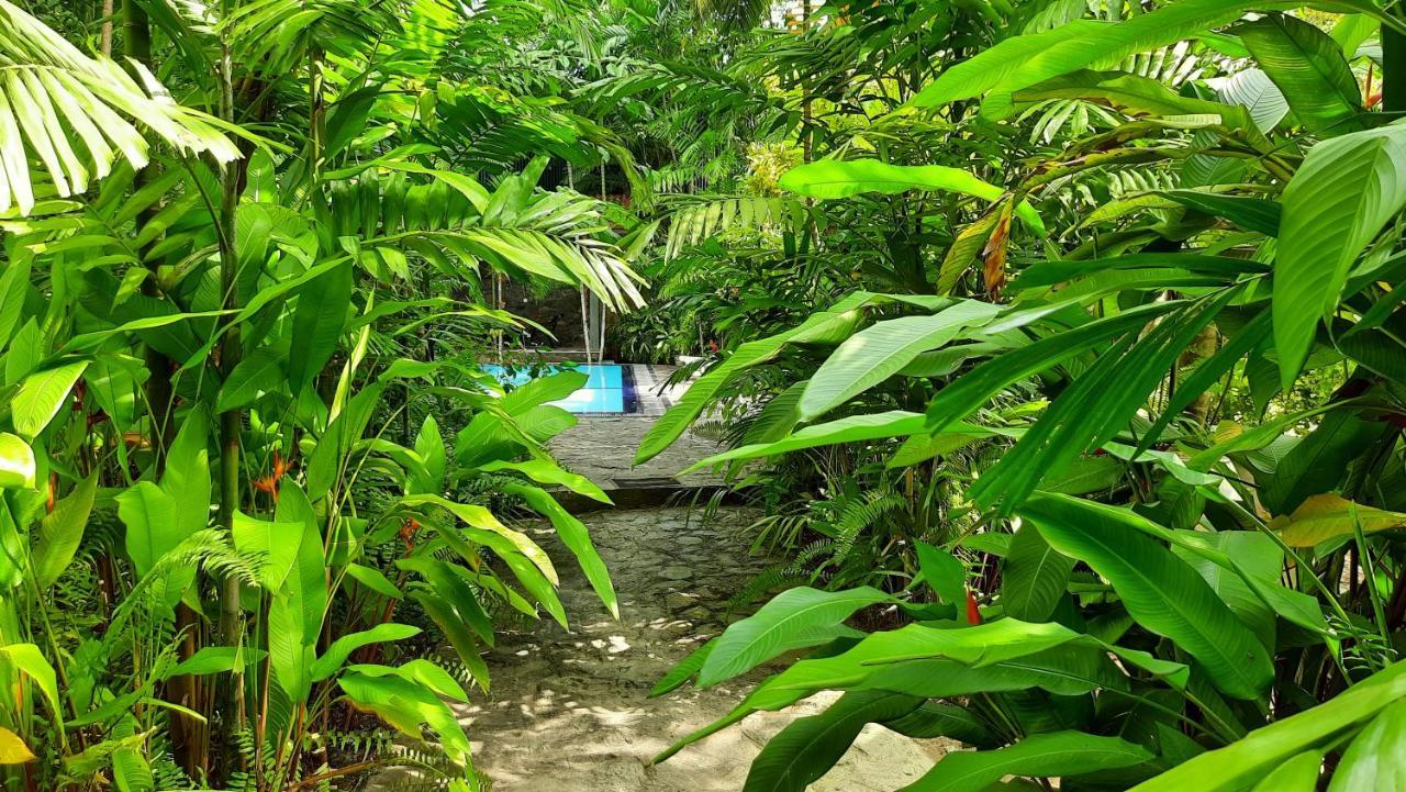 Nirmala Hotel Habaraduwa Central
